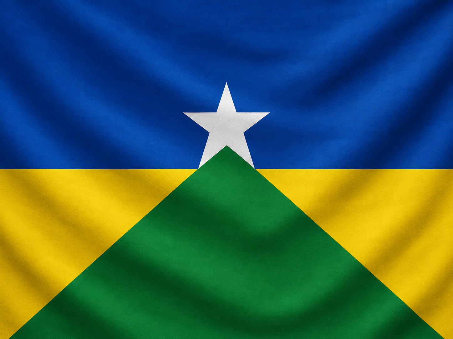 Bandeira do Estado de Rondônia em tecido